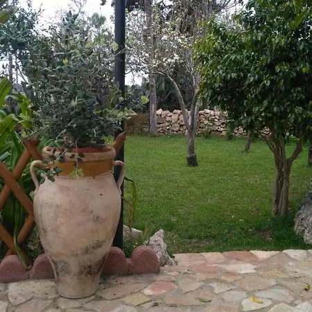 I Ciusiddi